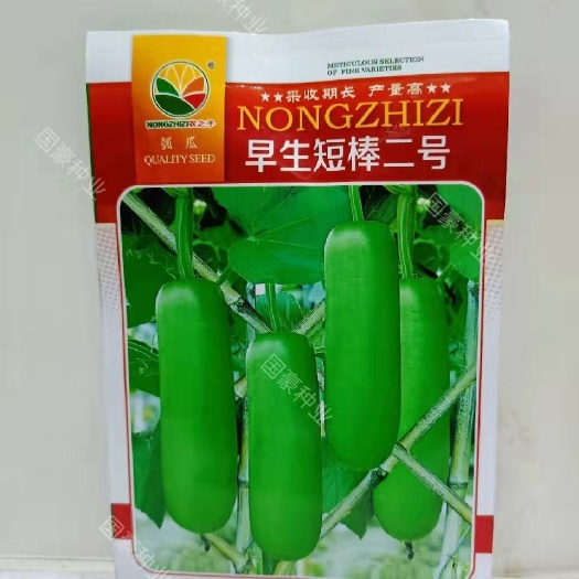 南昌早生短棒二号瓠瓜种子