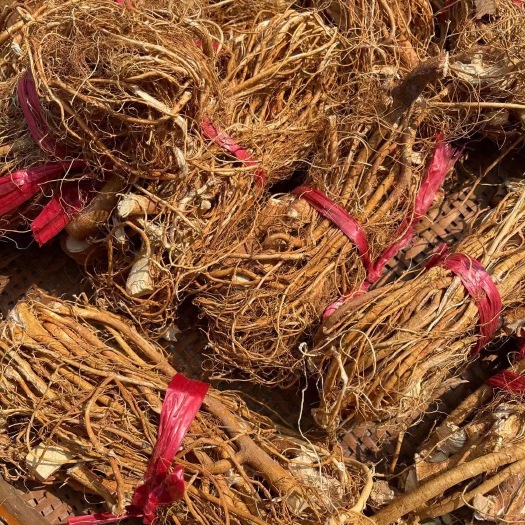 和平县汤料，药材，药食同五指毛桃，五爪金龙，牛奶根，扎把，无硫