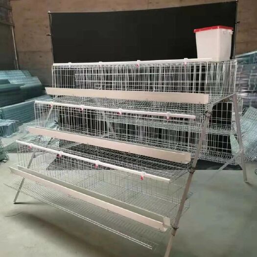 衡水4门5门蛋鸡笼养殖笼具育雏笼阶梯式蛋鸡笼子镀锌小鸡笼子家用