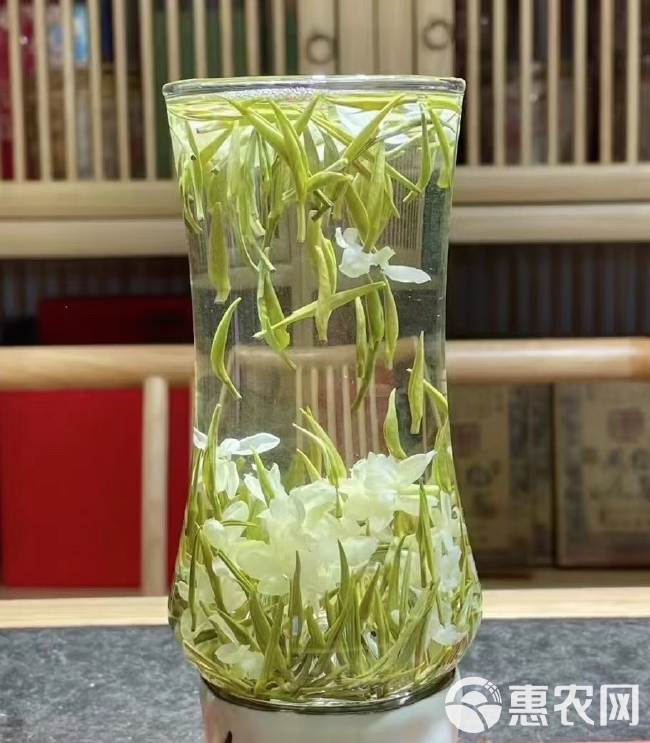 茉莉花茶 茉莉兰妃 2024新茶