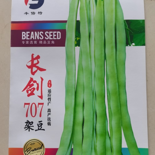 顺平县长剑707白不老架芸豆绿白条条长产量高商品性好