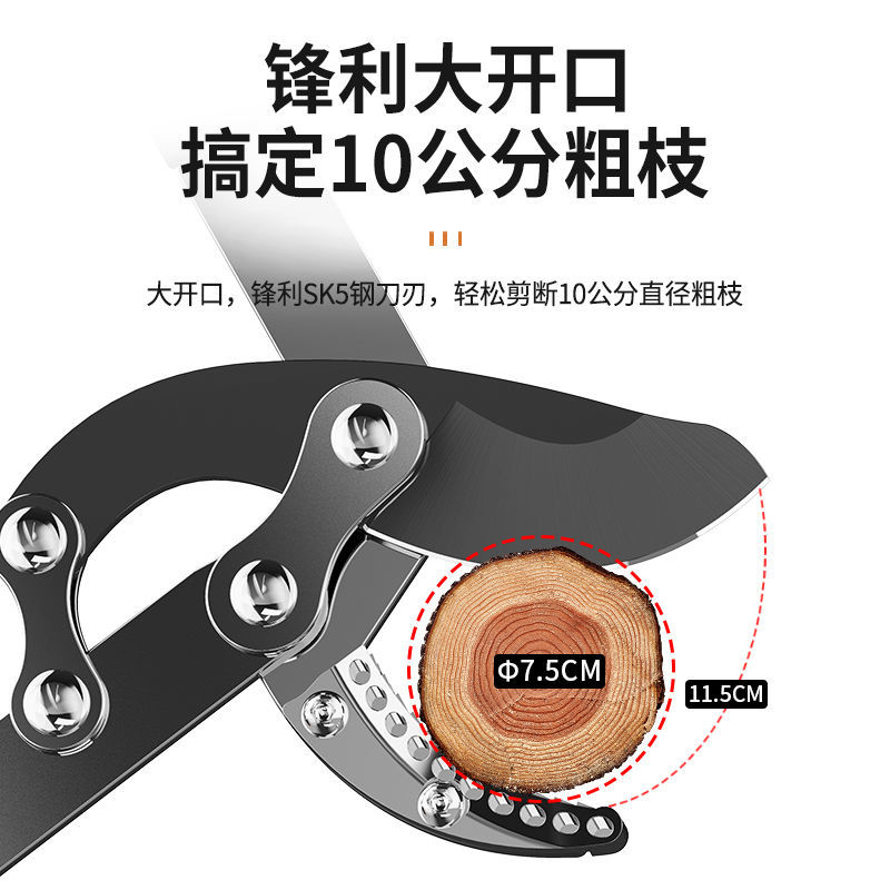 園林剪刀 德國高枝剪樹枝專用剪子修枝剪園藝果樹修剪刀拉樹