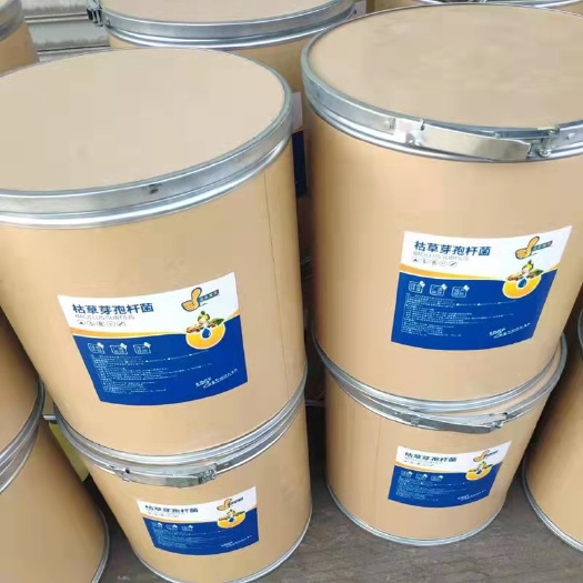 济南枯草芽孢杆菌1000亿微生物菌剂农用水产养殖菌剂