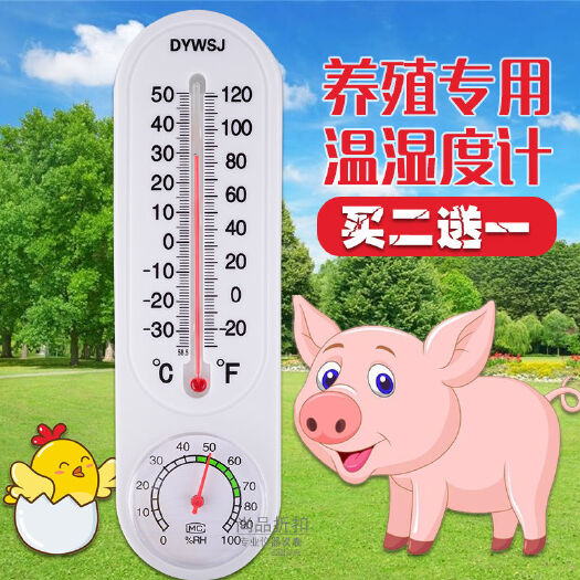 杭州多功能温度计 养殖温度计猪舍鸡舍养鸡养猪专用温湿度计壁挂式大