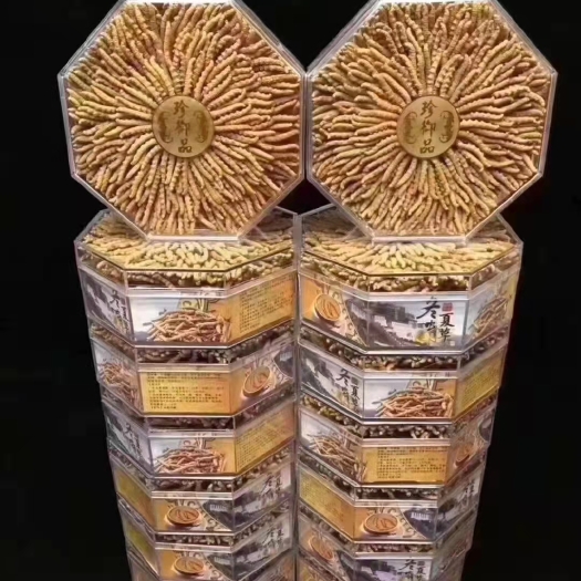 松潘县那曲虫草 虫草