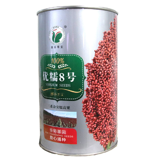 南昌金谷绿绿宝优糯8号高粱种子400克，株高165左右，抗倒伏
