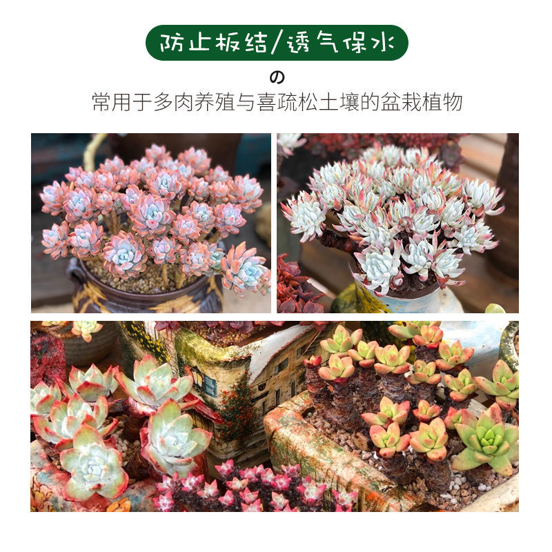 珍 珠 岩