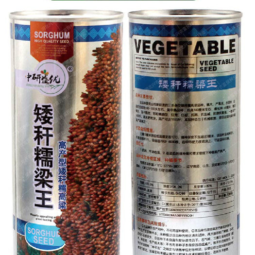 南昌矮杆糯粱高粱种子500克，株高140厘米，亩产1500斤左