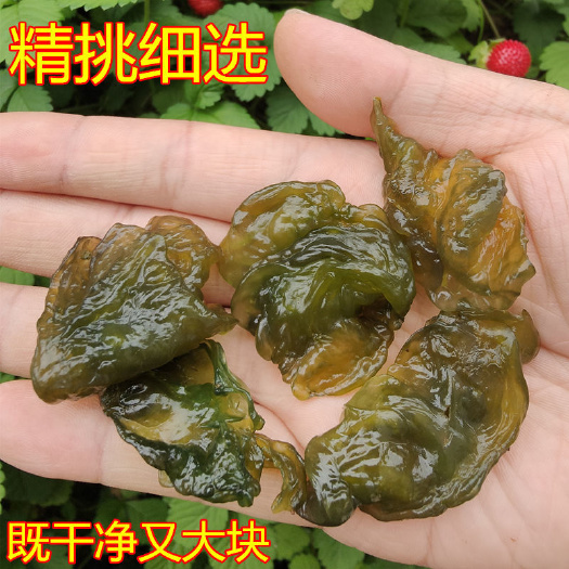 祁阳市湖南地皮菜鲜雷公菌现摘现发支持一件代发