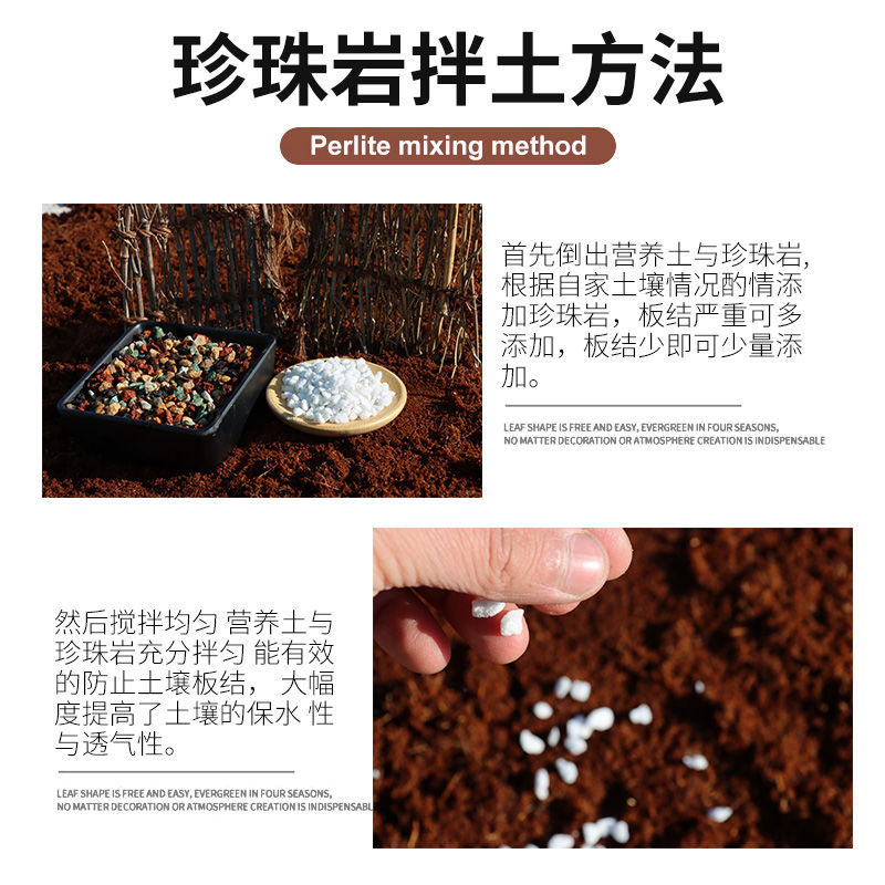 珍 珠 岩