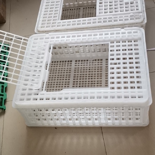 诸城市塑料鸡笼  转运鸡笼 装鸭筐