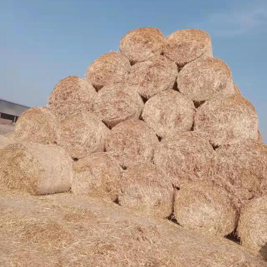 蒙城县小麦秸秆 柔丝过筛除尘5道绳牛羊草料