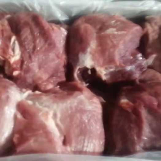 商丘猪肉类 母猪四号肉