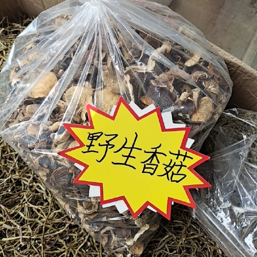 金秀县野生香菇   大瑶山，野香菇，椴木香菇，薄菇，小菇