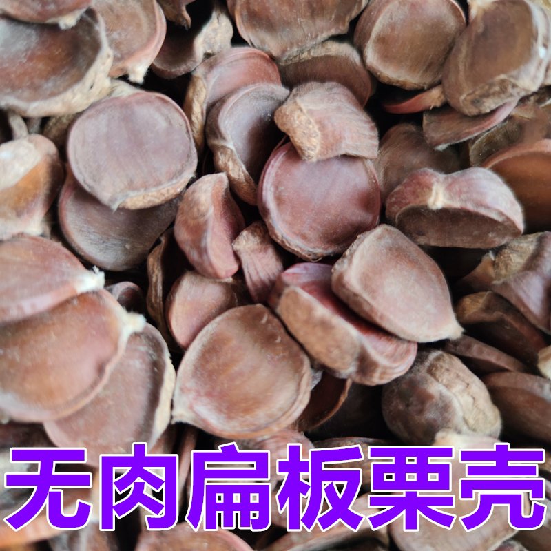 迁西县迁西板栗壳无肉干栗子壳栗假子扁板粟壳扁粟子假板栗皮干板栗壳