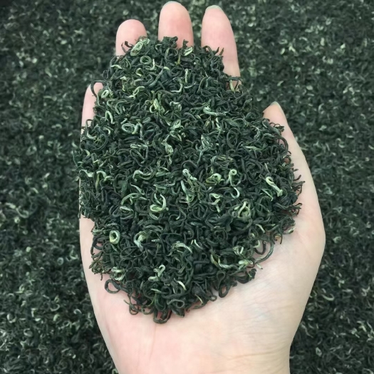 无锡碧螺春  苏州明前碧螺春绿茶 500g包邮 茶农直销