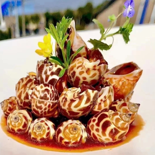 无锡淡水螺 调味辣汁花螺，青螺，酒店食材