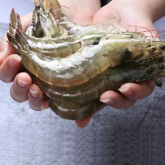 对虾 青岛大虾海鲜冻品水产品一件代发 青岛盐冻大虾全国招分销