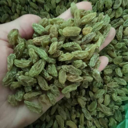 乐陵市无核葡萄干   新疆葡萄干，新疆绿香妃葡萄干，黄葡萄干，源头供货厂家直销