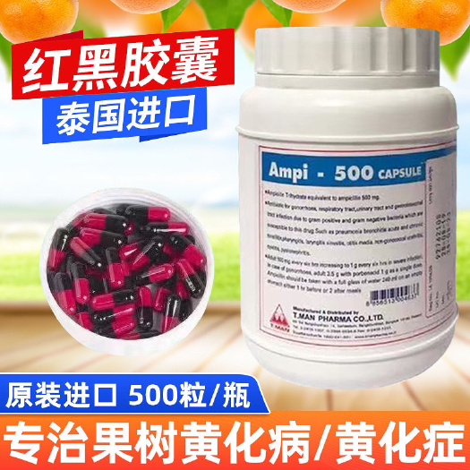 深圳间接肥料 农用果树柑桔沙糖橘柚子用叶子黄化黄斑包邮