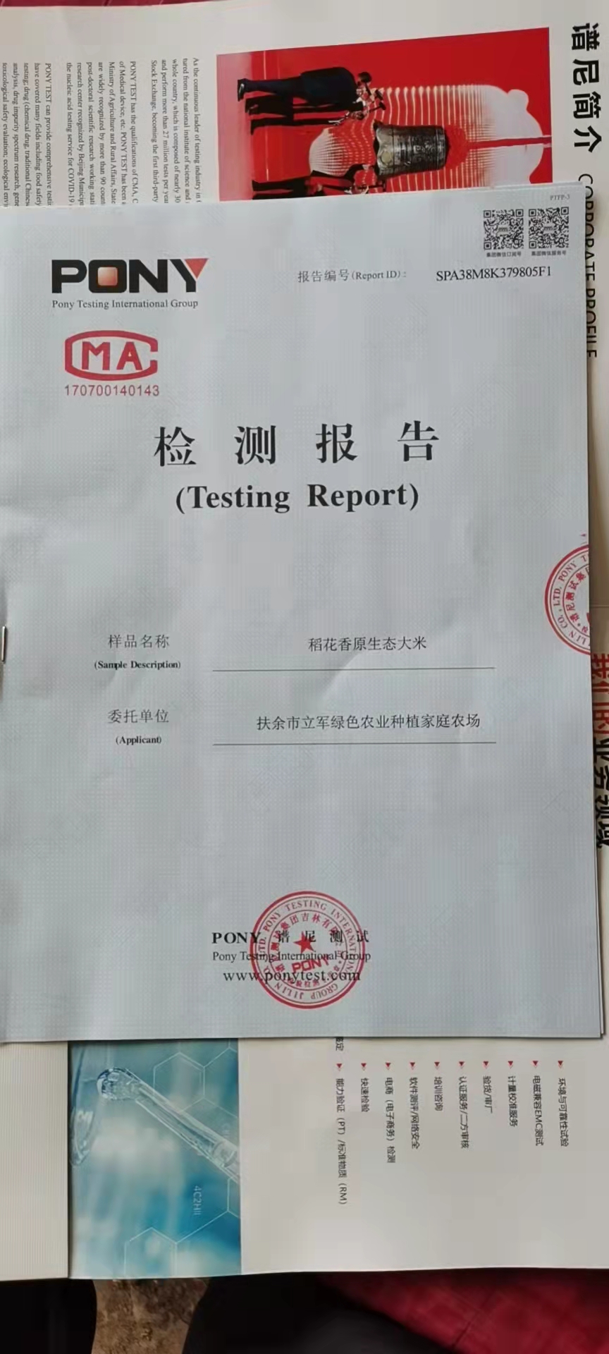 稻花香 急 处理一批长粒香稻谷绿色大米有证书有检测报告 有需