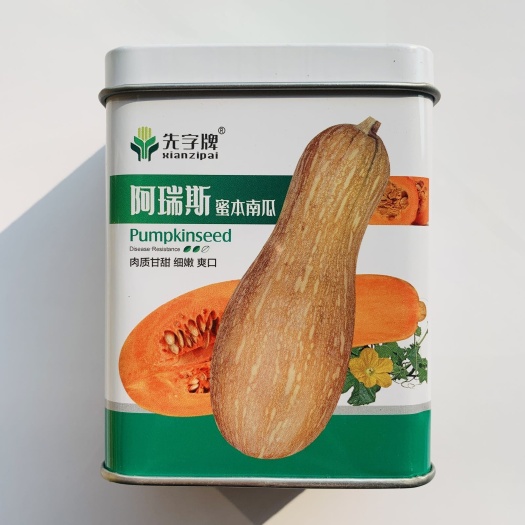 沭阳县蜜本南瓜种子 蔬菜种子南瓜种籽密本南瓜肉质干甜细腻爽口春夏种