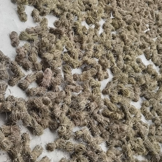 玉林鸡骨草