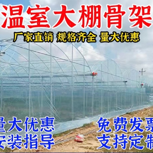 天津种植大棚  育苗棚 瓜果蔬菜大棚，暖棚，简易插地棚