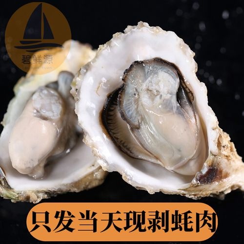 饶平县三倍体生蚝  汫洲大蚝 海水 冷冻水产