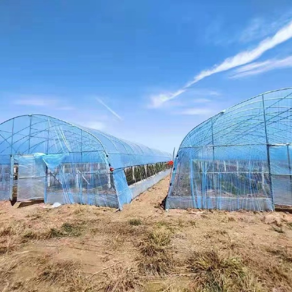 大棚配件  大棚压膜绳 种植园高强度钢线结实耐用 温室大棚蔬菜种植 托膜