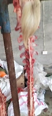商河县羊肉类 羊蝎子