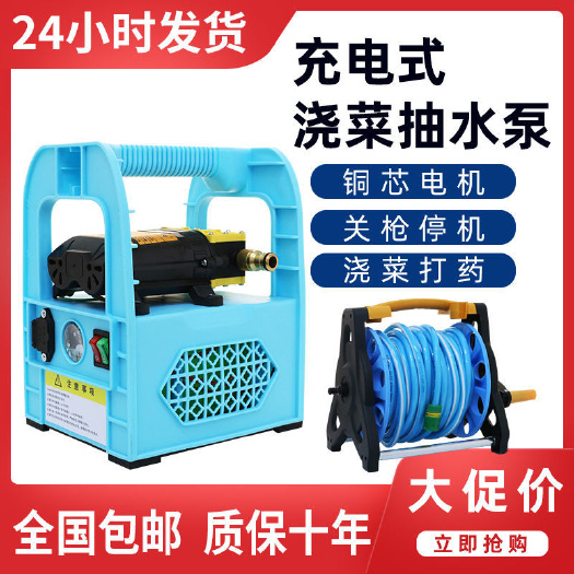 深圳打藥機  噴霧機  農(nóng)用電動噴霧器手提式充電果樹抽水洗車機高