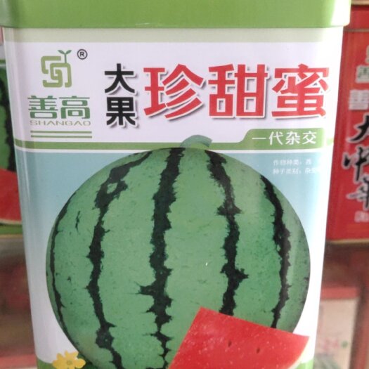 余干县 大果珍甜蜜西瓜种子，早熟品种，一代杂交品种，