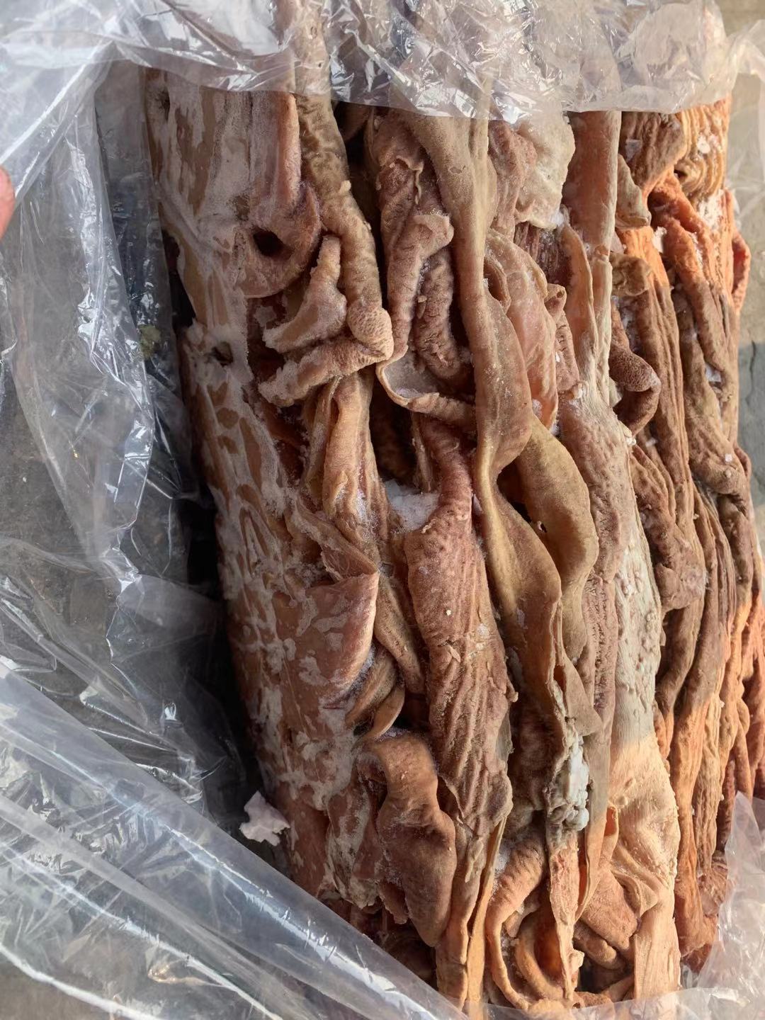  原切高比例牛杂 肠子 伞带碗口 牛筋比例可调