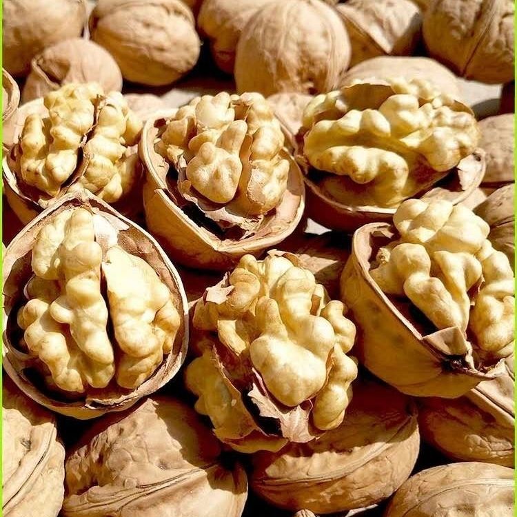 吐鲁番新疆薄皮核桃批发 大果中果厂家批发一件70斤薄皮核桃大果