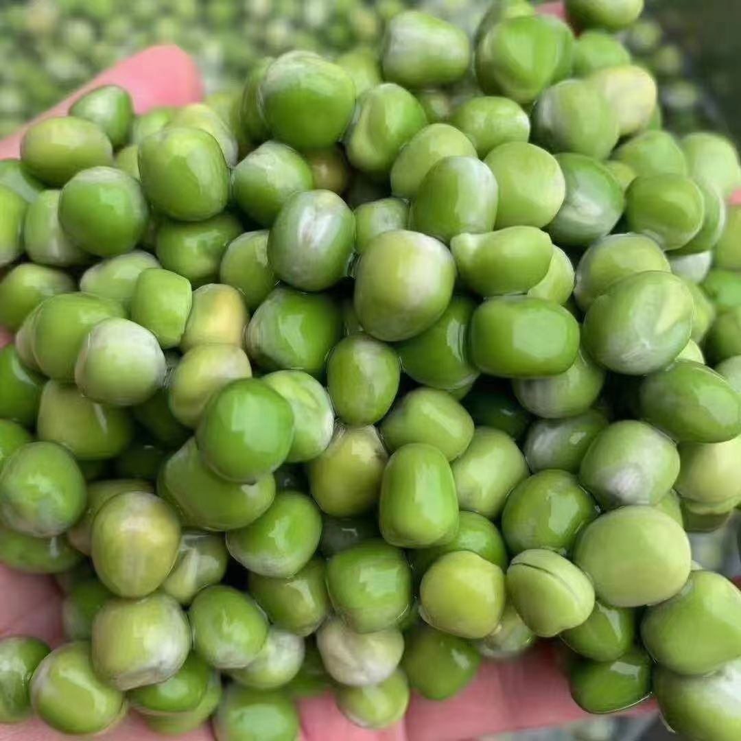 成都豌豆米   方青綠豌豆產地直銷批發一手貨源江湖地攤批發