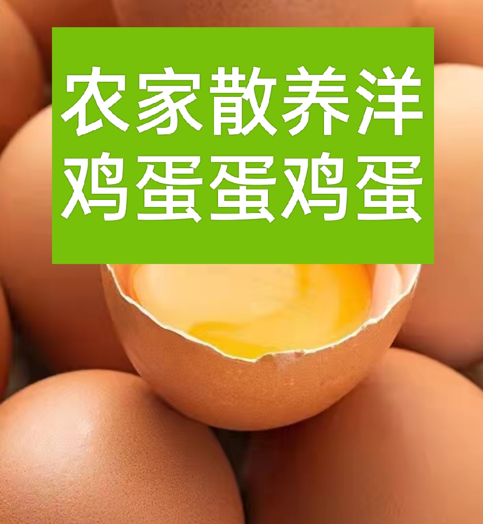 荆州农家散养洋鸡蛋   蛋鸡蛋   全国免费包邮