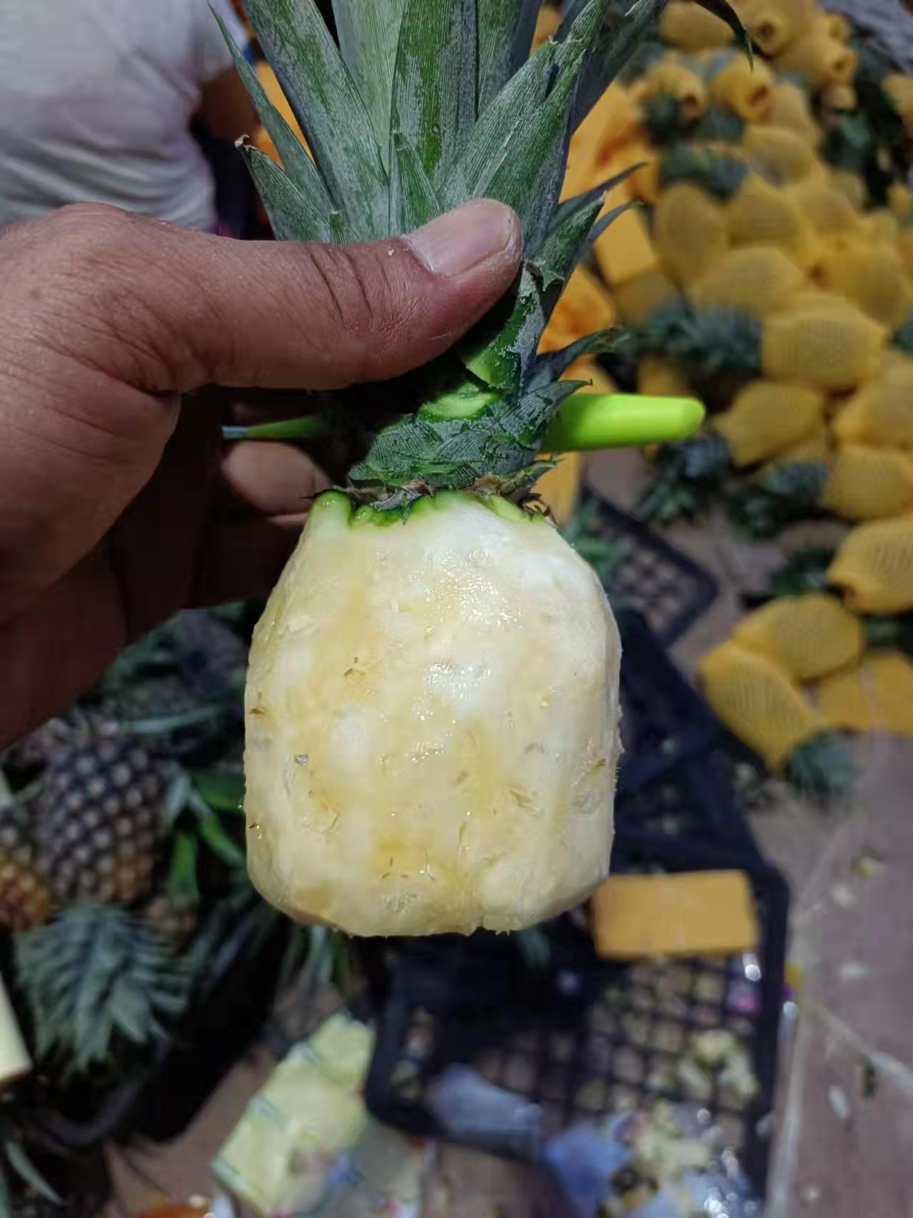海南凤梨市场电商合作发货规格齐全，好品质货供应