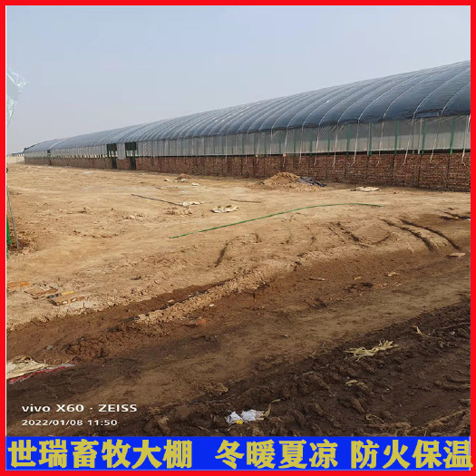 宁津县 养牛大棚建造价格全自动养牛棚搭建黄牛养殖大棚建设