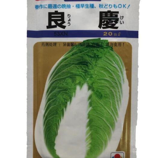 英德市大白菜种子 日本良庆大白菜种籽秋季冬季春季基地出口