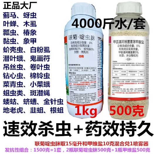 南宁联菊啶虫脒甲维盐抗性虫害蓟马蚜虫叶蝉木虱花蛆虫叶蛾白粉虱