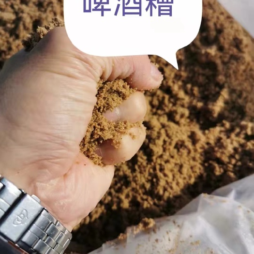 阳谷县 啤酒糟