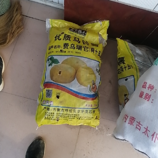 石家庄荷兰15号种薯 出售土豆种