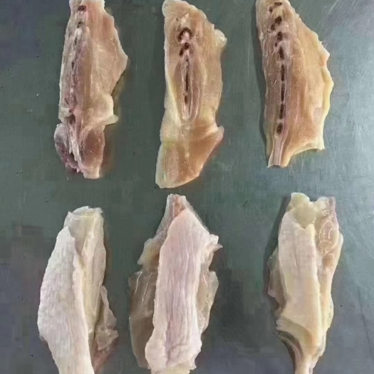 中牟县鸡肉 鸡背肉，净重40斤
