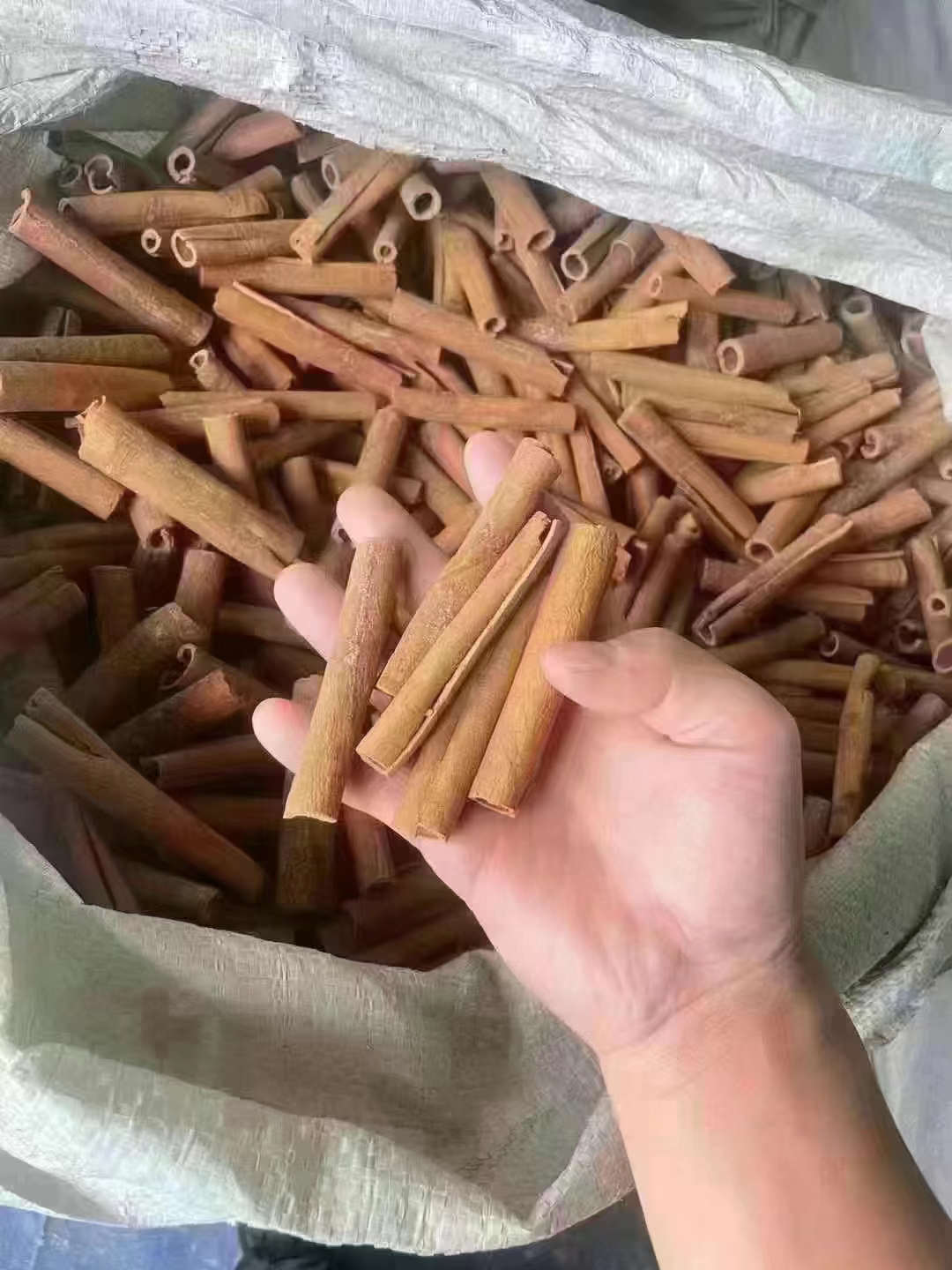 肉桂 正品烟桂八公分