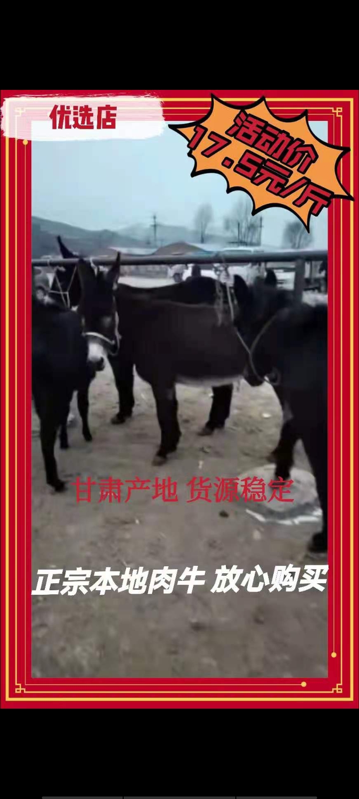 禮縣肉驢 400-500斤甘肅活驢