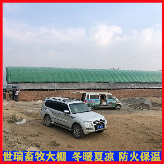 宁津县养殖大棚 养驴大棚搭建肉驴养殖棚建设养马大棚施工建造