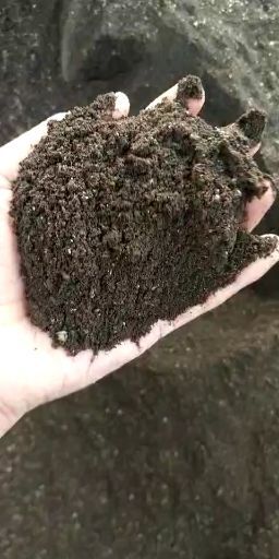 邯郸发酵牛粪 腐熟灭菌，蔬菜水果基地优质的底施肥，花草种植好帮手