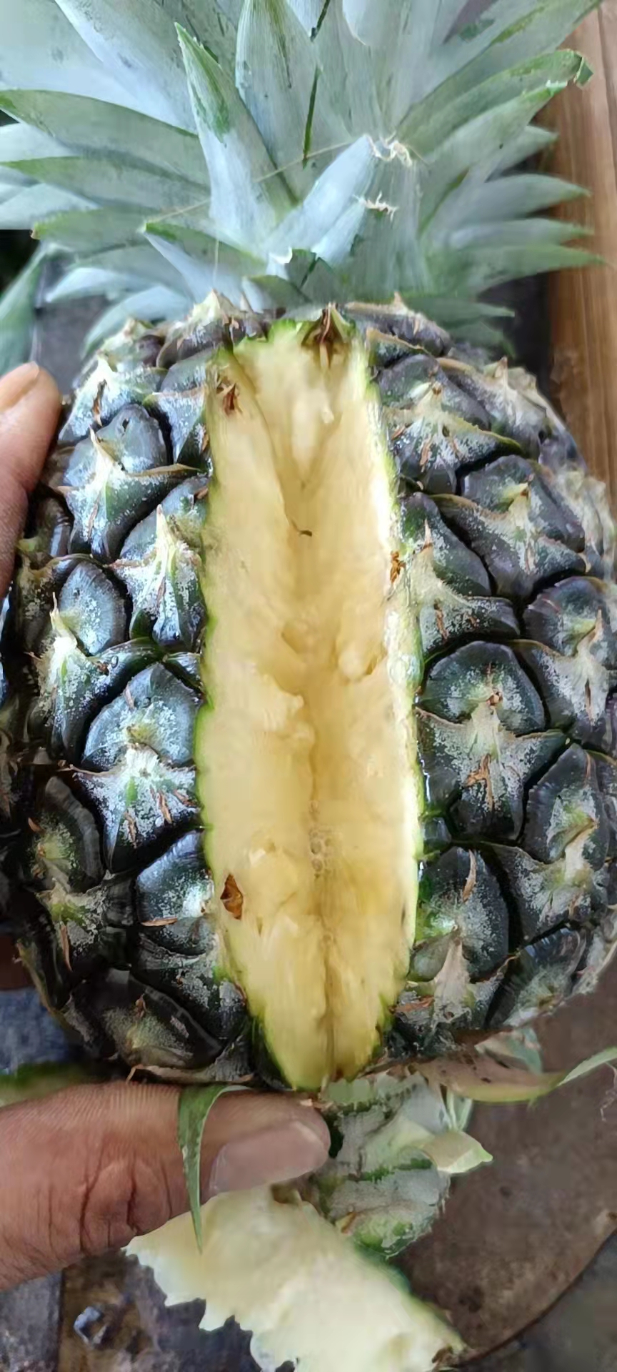 海南凤梨市场电商合作发货规格齐全，好品质货供应