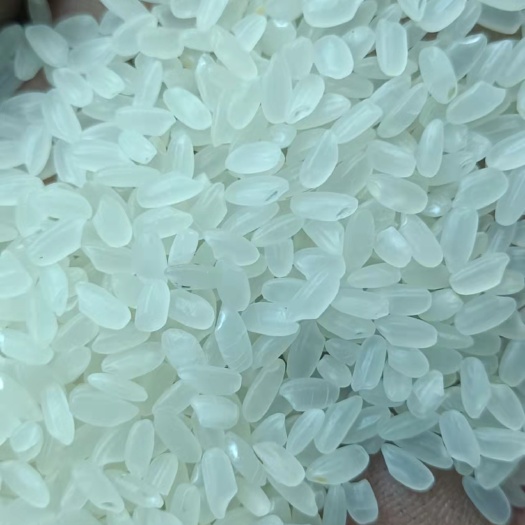 绥棱县粳米 东北大米